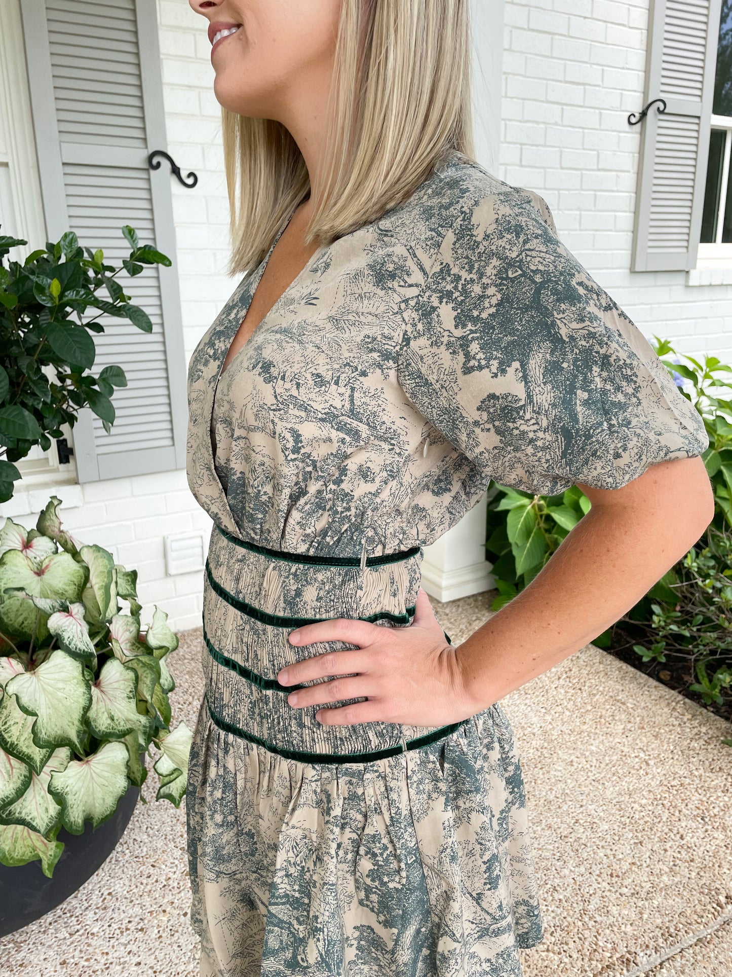 Cypress Toile Dress