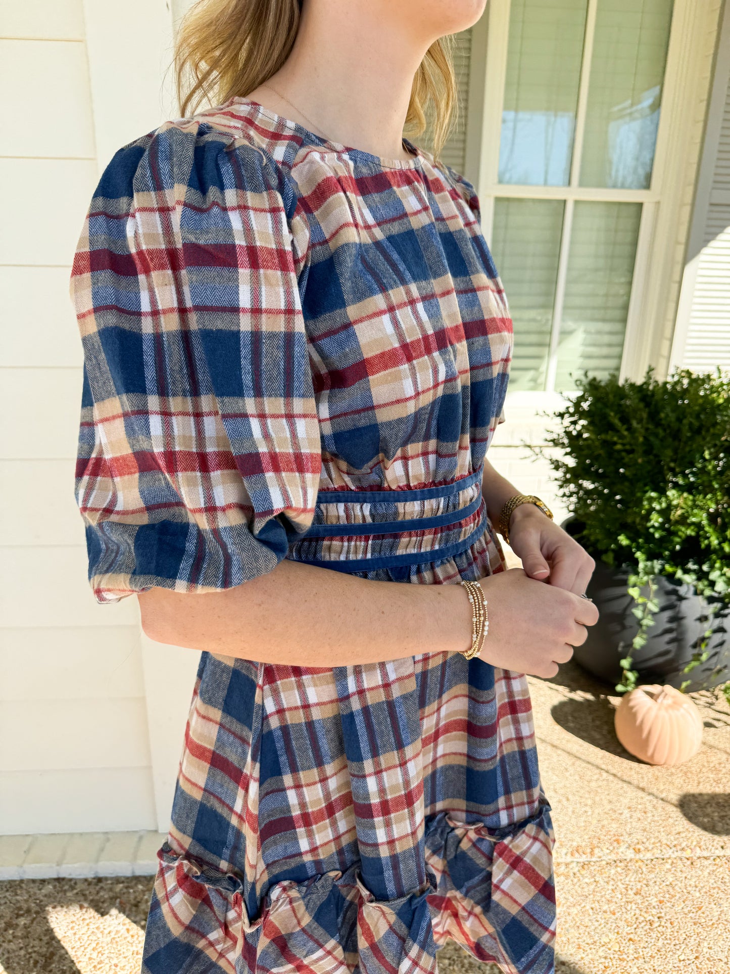 Oxford Red and Blue Picnic Dress